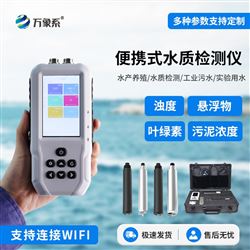 WX-SS04水产养殖溶氧检测仪