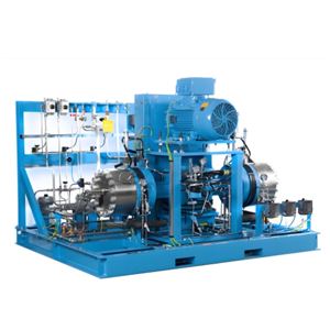 進口Mehrer隔膜壓縮機CTA 40水冷活塞往復式