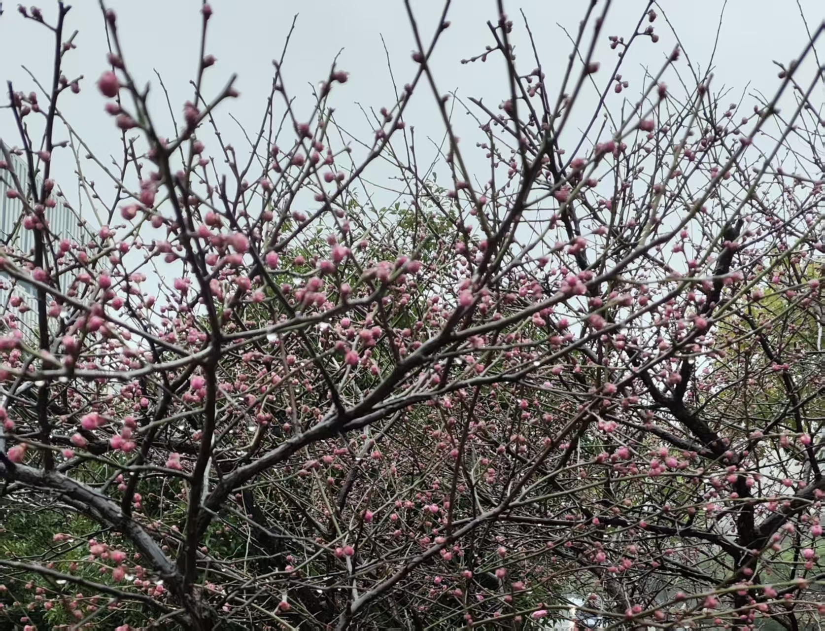 新华三海量存储赋能北京广播电视台，打造超高清与国产化创新标杆