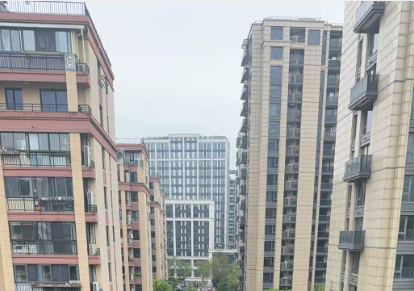 2026中国互联网发展座谈会在京召开