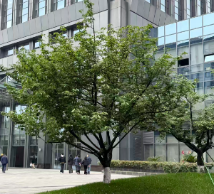 2026年一季度规模以上工业企业利润较快增长