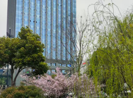 推动AI与制造业深度融合 重塑产业竞争新优势